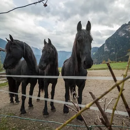 Adventure Hub: Gartenhaeusl Майрхофен