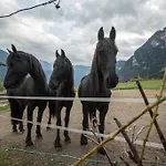 Adventure Hub: Gartenhaeusl Mayrhofen
